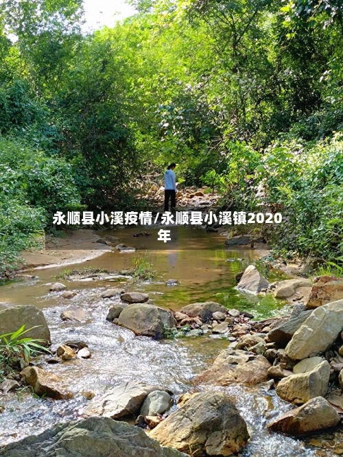 永顺县小溪疫情/永顺县小溪镇2020年