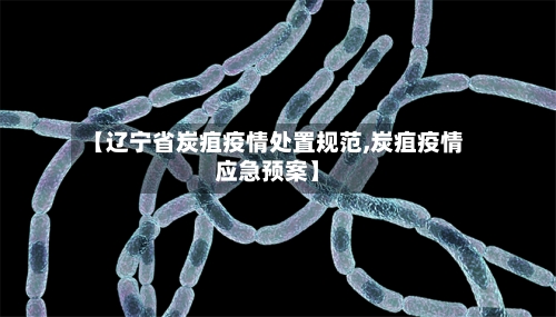 【辽宁省炭疽疫情处置规范,炭疽疫情应急预案】