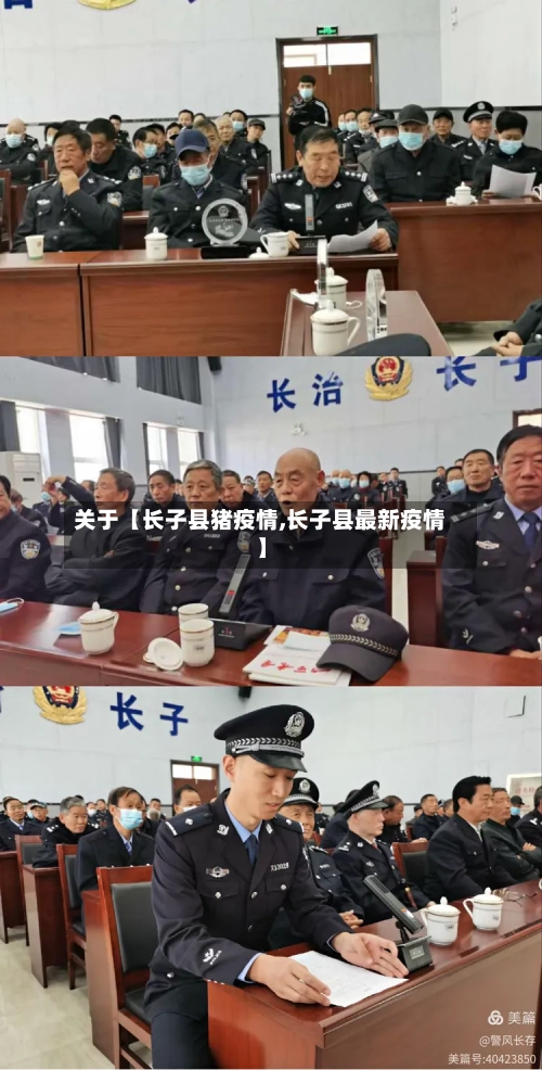 关于【长子县猪疫情,长子县最新疫情】-第2张图片