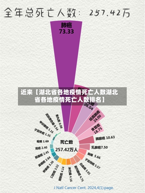 近来【湖北省各地疫情死亡人数湖北省各地疫情死亡人数排名】