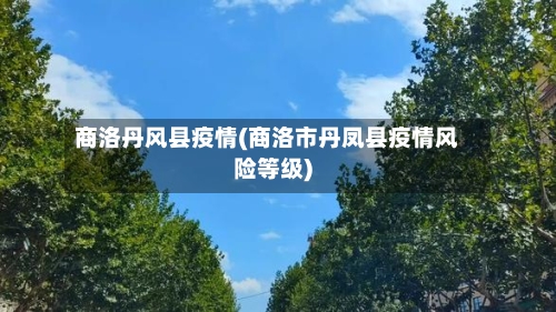 商洛丹风县疫情(商洛市丹凤县疫情风险等级)