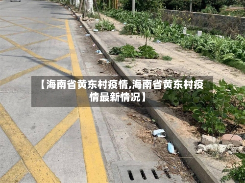 【海南省黄东村疫情,海南省黄东村疫情最新情况】