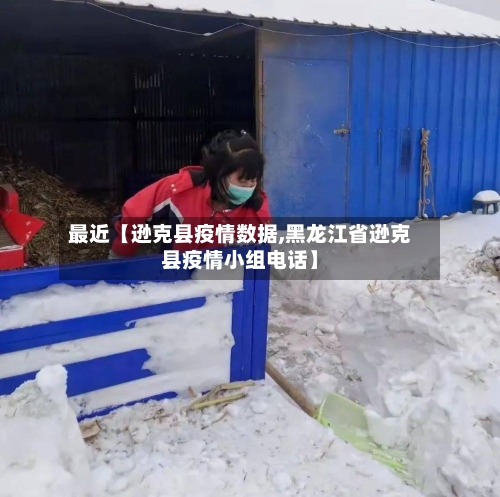 最近【逊克县疫情数据,黑龙江省逊克县疫情小组电话】-第3张图片