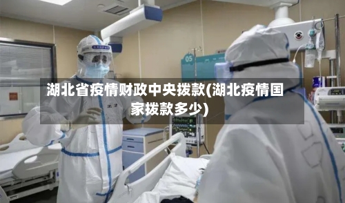 湖北省疫情财政中央拨款(湖北疫情国家拨款多少)-第2张图片