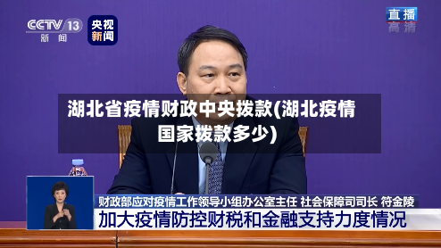 湖北省疫情财政中央拨款(湖北疫情国家拨款多少)