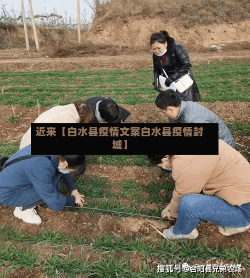 近来【白水县疫情文案白水县疫情封城】