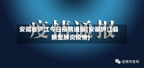 安徽省庐江今日疫情通报(安徽庐江县新型肺炎疫情)-第3张图片