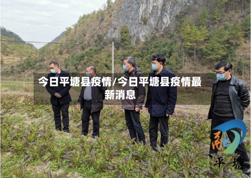 今日平塘县疫情/今日平塘县疫情最新消息