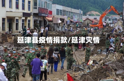 延津县疫情捐款/延津灾情-第3张图片