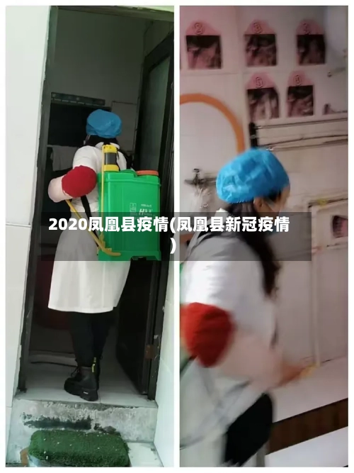 2020凤凰县疫情(凤凰县新冠疫情)