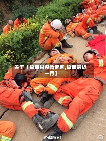 关于【鲁甸县疫情起因,鲁甸最近一月】