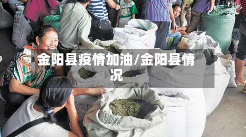 金阳县疫情加油/金阳县情况