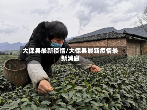 大保县最新疫情/大保县最新疫情最新消息