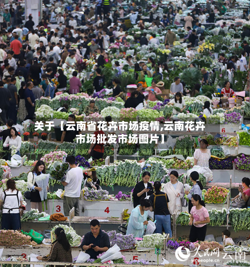 关于【云南省花卉市场疫情,云南花卉市场批发市场图片】