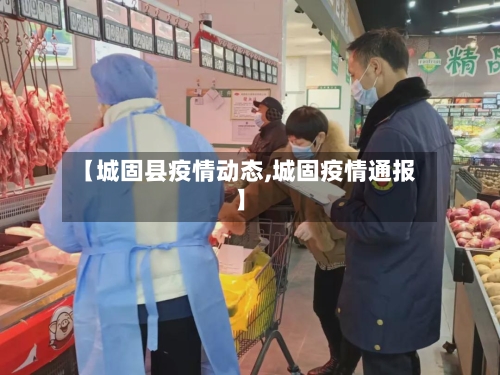 【城固县疫情动态,城固疫情通报】-第3张图片