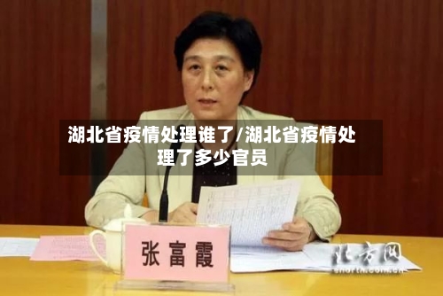 湖北省疫情处理谁了/湖北省疫情处理了多少官员-第2张图片