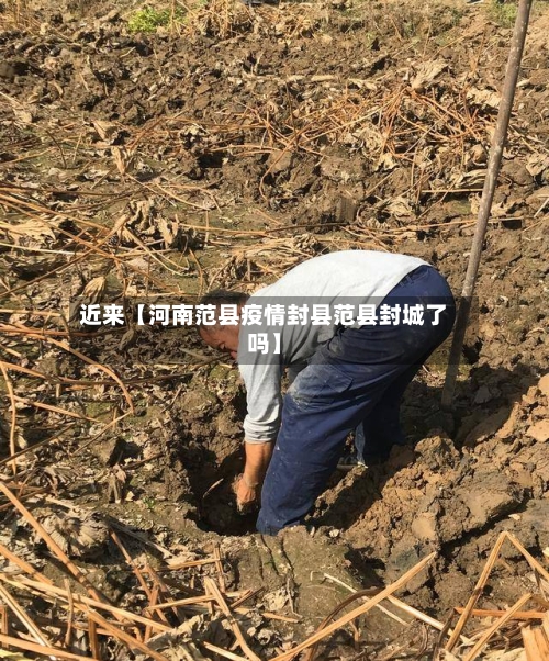 近来【河南范县疫情封县范县封城了吗】