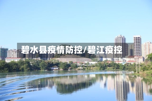 碧水县疫情防控/碧江疫控