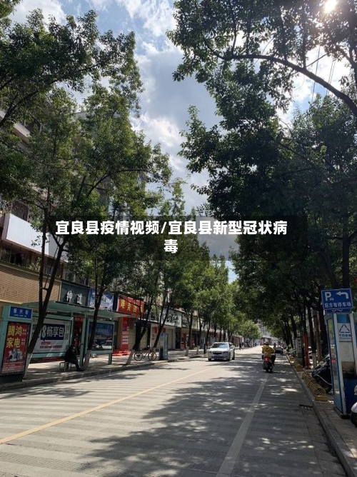宜良县疫情视频/宜良县新型冠状病毒