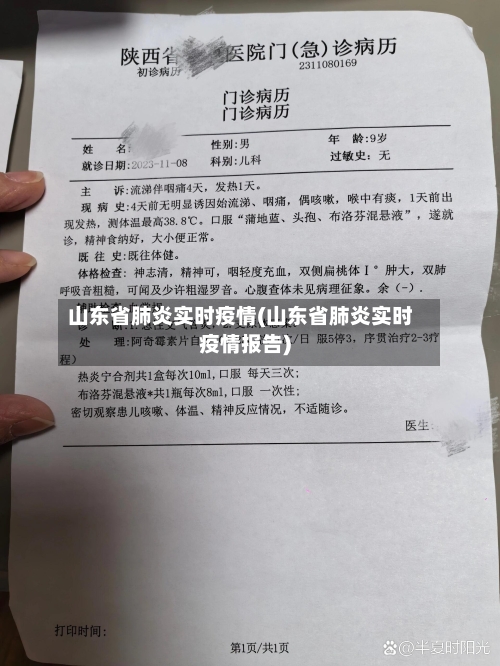 山东省肺炎实时疫情(山东省肺炎实时疫情报告)