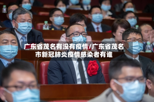 广东省茂名有没有疫情/广东省茂名市新冠肺炎疫情感染者有谁-第3张图片