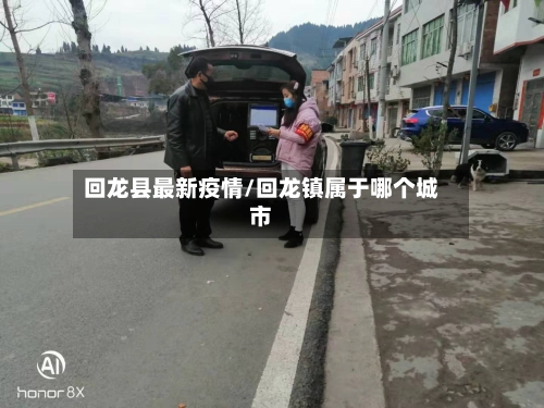 回龙县最新疫情/回龙镇属于哪个城市-第2张图片