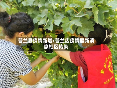 普兰县疫情新增/普兰店疫情最新消息社区传染