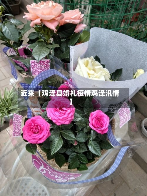 近来【鸡泽县婚礼疫情鸡泽汛情】