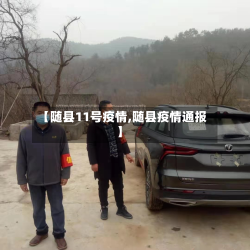 【随县11号疫情,随县疫情通报】