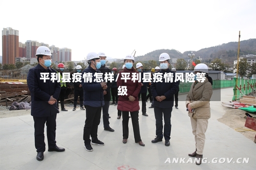 平利县疫情怎样/平利县疫情风险等级-第3张图片