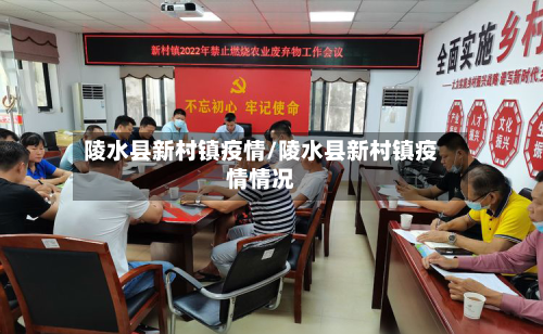 陵水县新村镇疫情/陵水县新村镇疫情情况