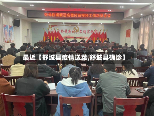 最近【舒城县疫情送菜,舒城县确诊】