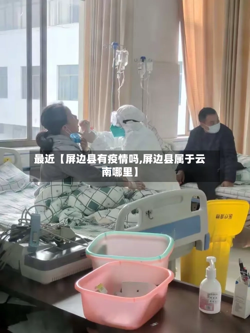最近【屏边县有疫情吗,屏边县属于云南哪里】-第2张图片
