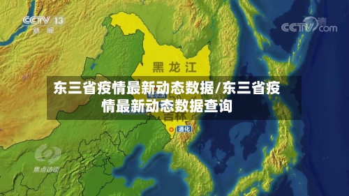 东三省疫情最新动态数据/东三省疫情最新动态数据查询-第3张图片