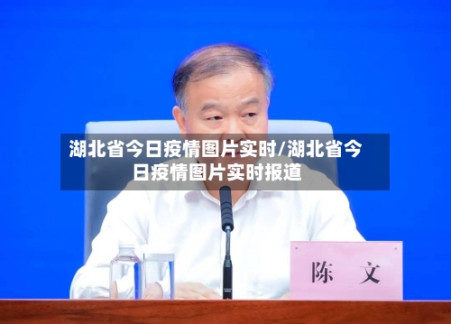 湖北省今日疫情图片实时/湖北省今日疫情图片实时报道