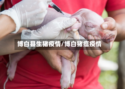 博白县生猪疫情/博白猪瘟疫情-第2张图片
