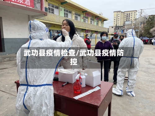 武功县疫情检查/武功县疫情防控