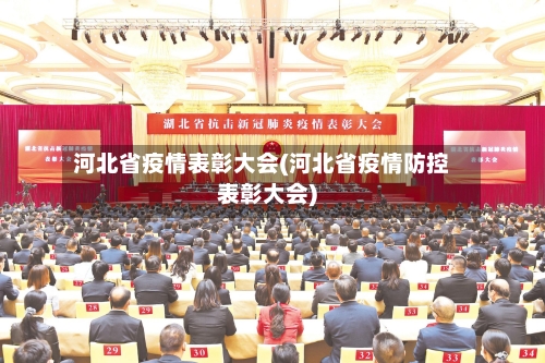河北省疫情表彰大会(河北省疫情防控表彰大会)-第2张图片