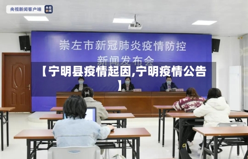 【宁明县疫情起因,宁明疫情公告】-第2张图片