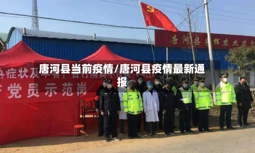 唐河县当前疫情/唐河县疫情最新通报-第3张图片