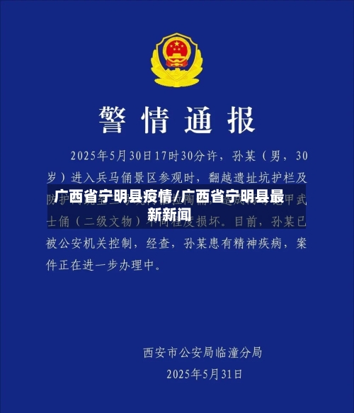 广西省宁明县疫情/广西省宁明县最新新闻-第2张图片