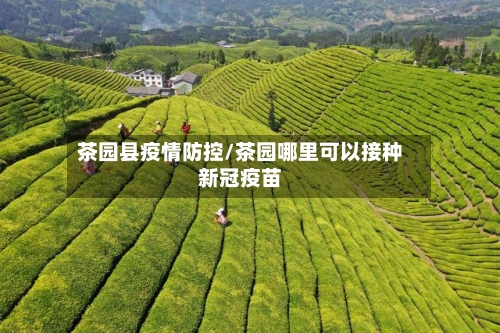 茶园县疫情防控/茶园哪里可以接种新冠疫苗