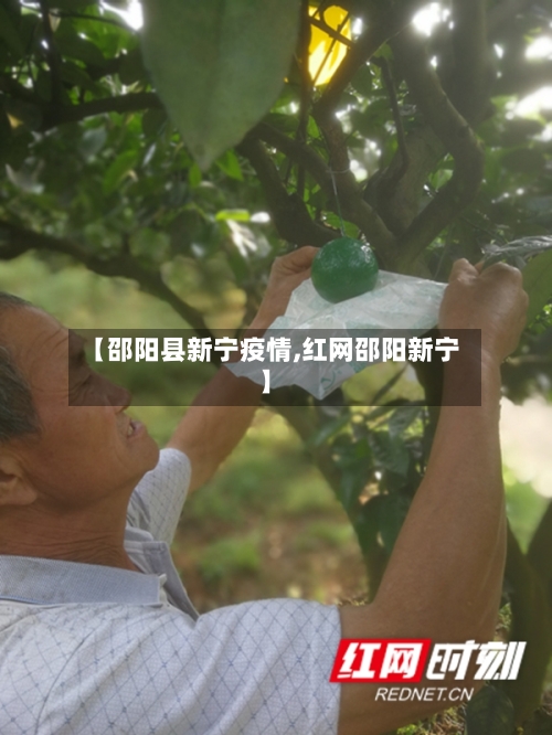 【邵阳县新宁疫情,红网邵阳新宁】-第3张图片