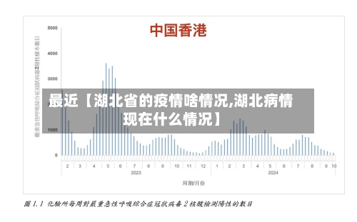 最近【湖北省的疫情啥情况,湖北病情现在什么情况】