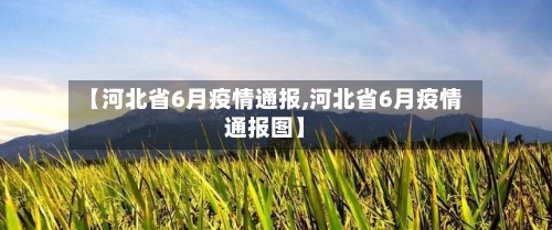 【河北省6月疫情通报,河北省6月疫情通报图】-第3张图片