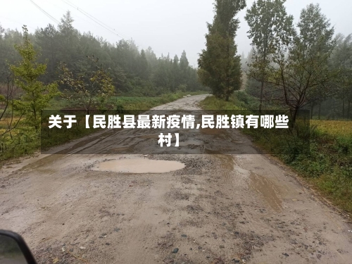 关于【民胜县最新疫情,民胜镇有哪些村】-第2张图片