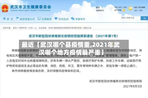 最近【武汉哪个县疫情重,2021年武汉哪个地方疫情最严重】-第3张图片