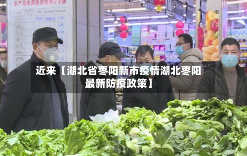 近来【湖北省枣阳新市疫情湖北枣阳最新防疫政策】-第2张图片