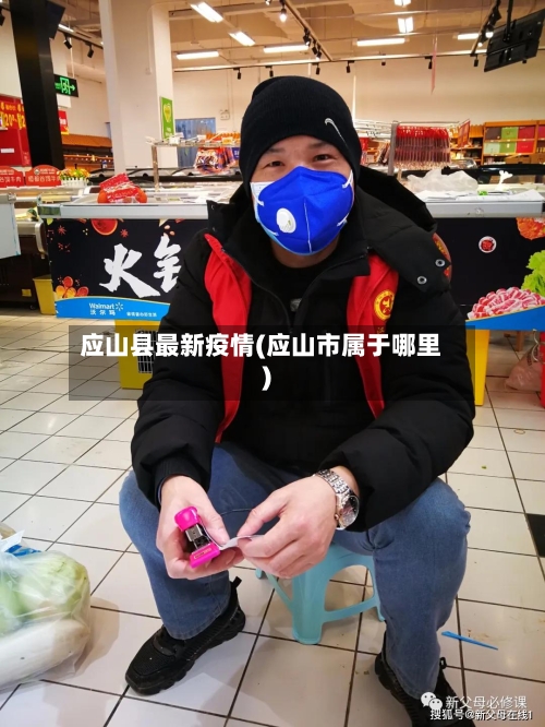 应山县最新疫情(应山市属于哪里)