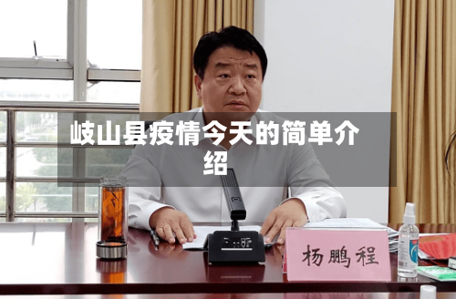 岐山县疫情今天的简单介绍-第2张图片